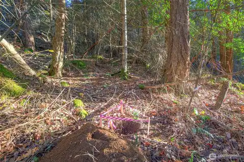 558 Buck Mt. Road, Orcas Island, WA, 98245 — photo 15