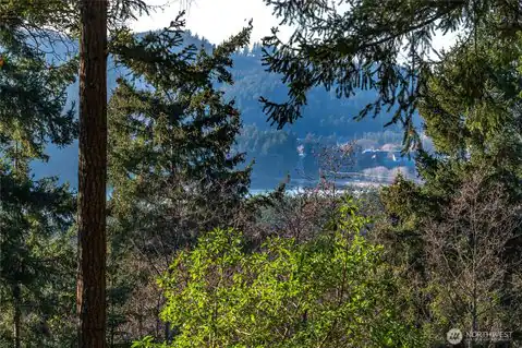 558 Buck Mt. Road, Orcas Island, WA, 98245 — photo 16
