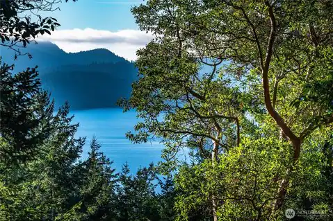 558 Buck Mt. Road, Orcas Island, WA, 98245 — photo 17