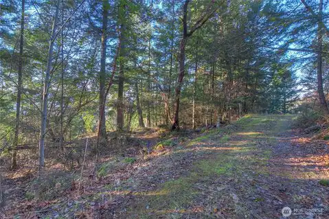 558 Buck Mt. Road, Orcas Island, WA, 98245 — photo 18