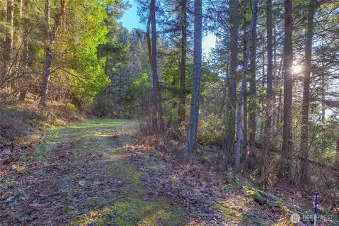 558 Buck Mt. Road, Orcas Island, WA, 98245 — photo 19