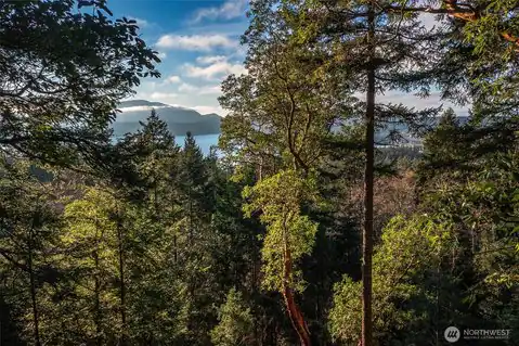 558 Buck Mt. Road, Orcas Island, WA, 98245 — photo 2