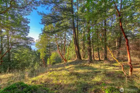 558 Buck Mt. Road, Orcas Island, WA, 98245 — photo 3
