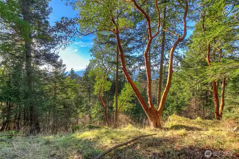 558 Buck Mt. Road, Orcas Island, WA, 98245 — photo 5