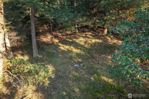 558 Buck Mt. Road, Orcas Island, WA, 98245 — photo 6