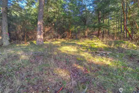 558 Buck Mt. Road, Orcas Island, WA, 98245 — photo 7