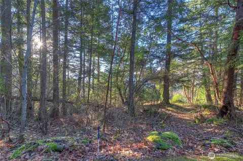 558 Buck Mt. Road, Orcas Island, WA, 98245 — photo 8