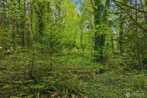 0 XX Haven Place, Camano Island, WA, 98282 — photo 2