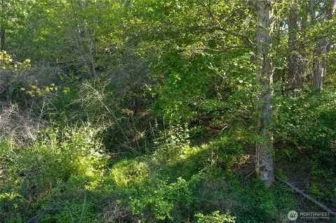 0 NKA N Street, Port Townsend, WA, 98368 — photo 6