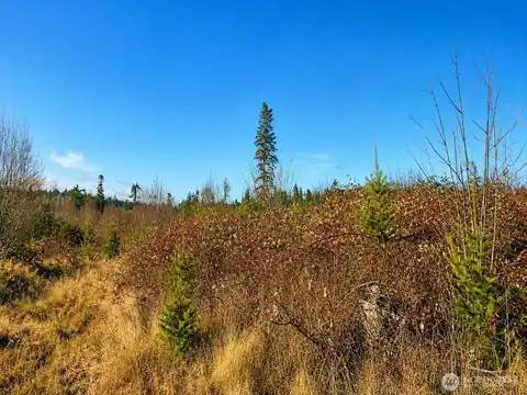 0 0, Kingston, WA, 98364 — photo 10