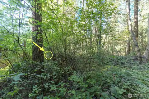 0 Lots 3&4 Grant Street, Port Townsend, WA, 98368 — photo 11