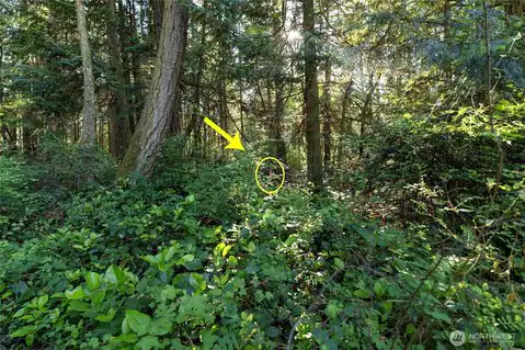 0 Lots 3&4 Grant Street, Port Townsend, WA, 98368 — photo 12