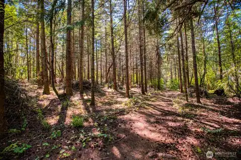 0 Lots 3&4 Grant Street, Port Townsend, WA, 98368 — photo 5
