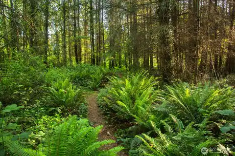 0 Madison Avenue N, Bainbridge Island, WA, 98110 — photo 10