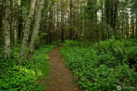 0 Madison Avenue N, Bainbridge Island, WA, 98110 — photo 11