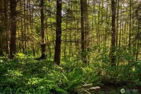 0 Madison Avenue N, Bainbridge Island, WA, 98110 — photo 12