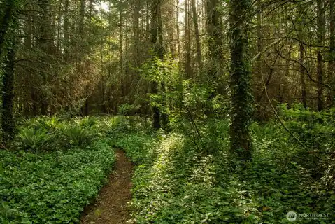 0 Madison Avenue N, Bainbridge Island, WA, 98110 — photo 13