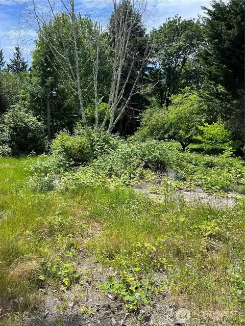 957 Aberdeen Avenue NE, Renton, WA, 98056 — photo 10