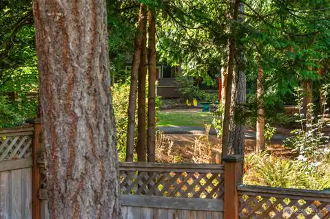 8513 139th Avenue NE, Redmond, WA, 98052 — photo 15