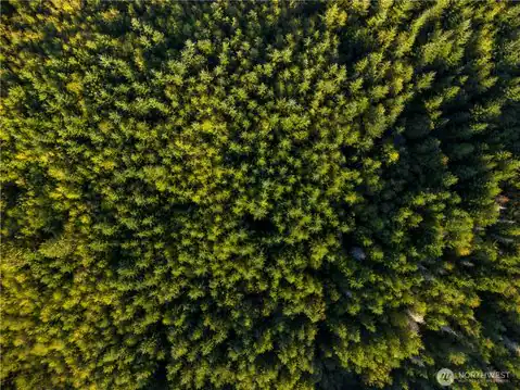 0 Lind Road, Port Townsend, WA, 98368 — photo 20