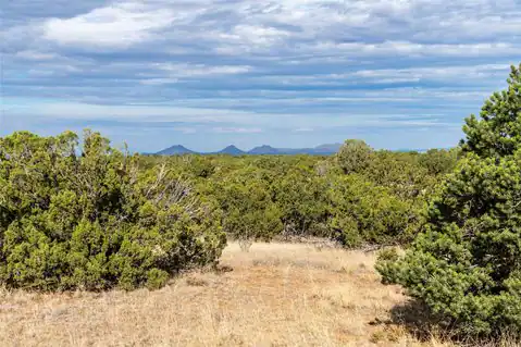 30 Silver Saddle, Lamy, NM 87540 — photo 29