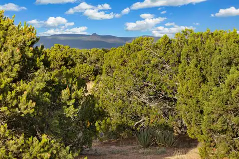 27 Koshari, Santa Fe, NM 87506 — photo 17