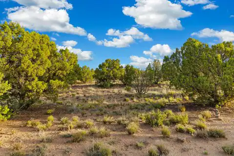 27 Koshari, Santa Fe, NM 87506 — photo 5