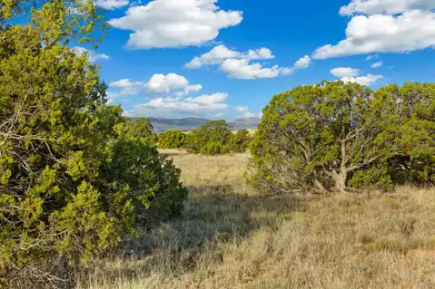 27 Koshari, Santa Fe, NM 87506 — photo 7