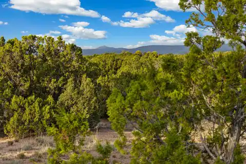 27 Koshari, Santa Fe, NM 87506 — photo 8