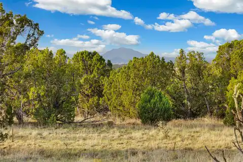27 Koshari, Santa Fe, NM 87506 — photo 9