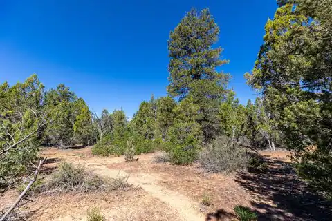 15 Pine ST, Orderville, UT 84758 — photo 29