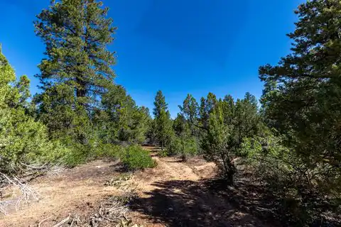 15 Pine ST, Orderville, UT 84758 — photo 30