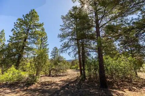 15 Pine ST, Orderville, UT 84758 — photo 31