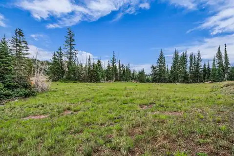 169 Zion View DR, Brian Head, UT 84719 — photo 10