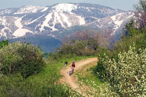 608 Yampa #201, Steamboat Springs, CO 80487 — photo 15