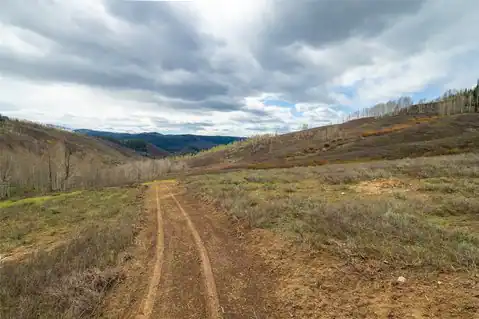 27115 St Louis Place, Clark, CO 80428 — photo 13