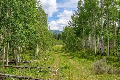 27115 St Louis Place, Clark, CO 80428 — photo 4