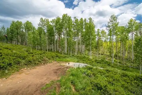 27115 St Louis Place, Clark, CO 80428 — photo 5