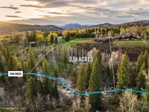 769 Anglers Pond, Steamboat Springs, CO 80487 — photo 4