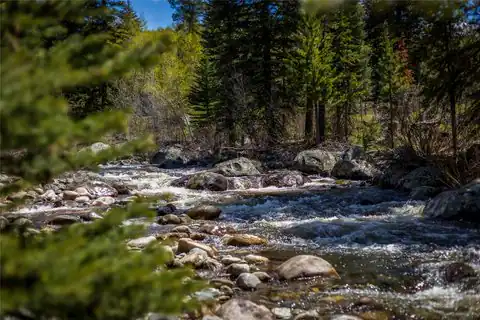 769 Anglers Pond, Steamboat Springs, CO 80487 — photo 6