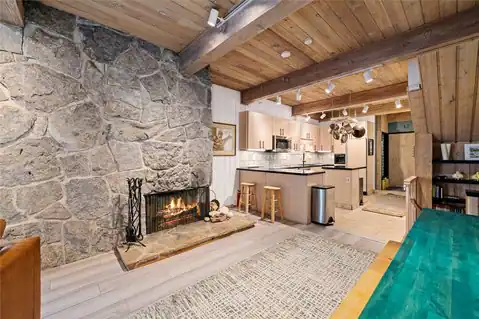 31500 Runaway Place #306, Steamboat Springs, CO 80487 — photo 6