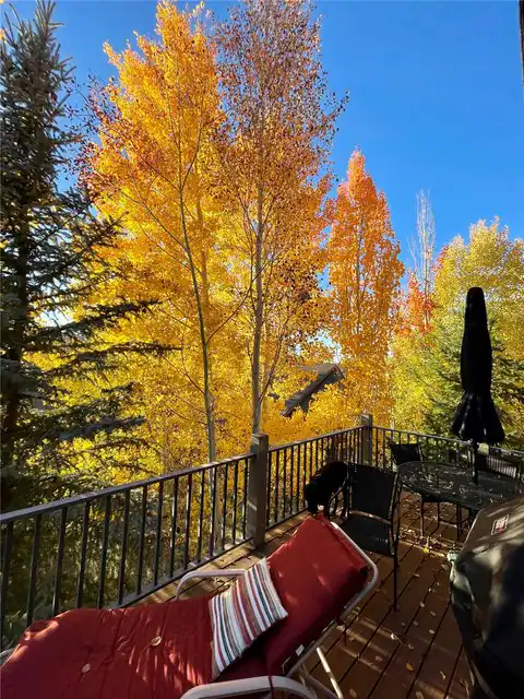 3251 Snowflake Circle, Steamboat Springs, CO 80487 — photo 11