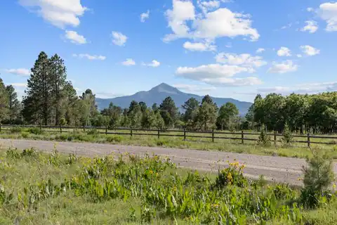 1151 Peninsula Drive, Placerville, CO 81430 — photo 2