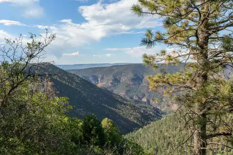 1151 Peninsula Drive, Placerville, CO 81430 — photo 5