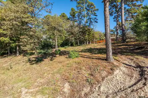 425 Hideaway Central Ln, Hideaway, TX 75771 — photo 2