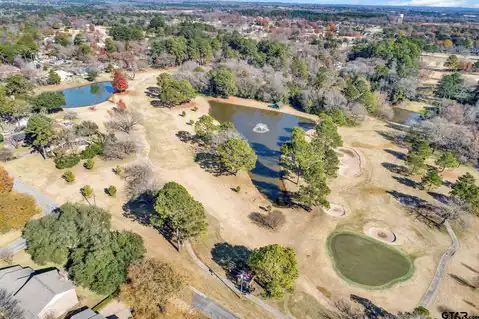 425 Hideaway Central Ln, Hideaway, TX 75771 — photo 29