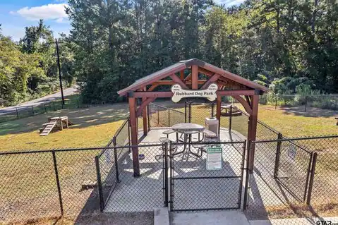 425 Hideaway Central Ln, Hideaway, TX 75771 — photo 47