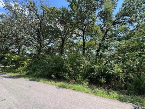 0 Hidalgo Loop, Mabank, TX 75156 — photo 4