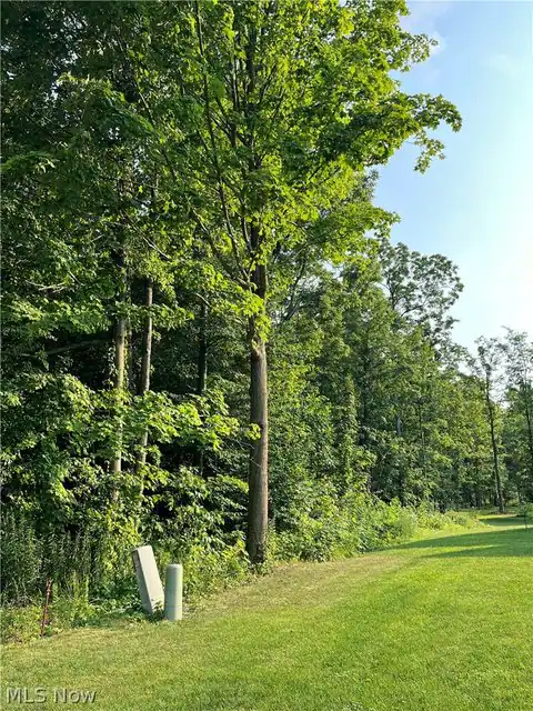35 Stony Brook Lane, Wakeman, OH 44889 — photo 4
